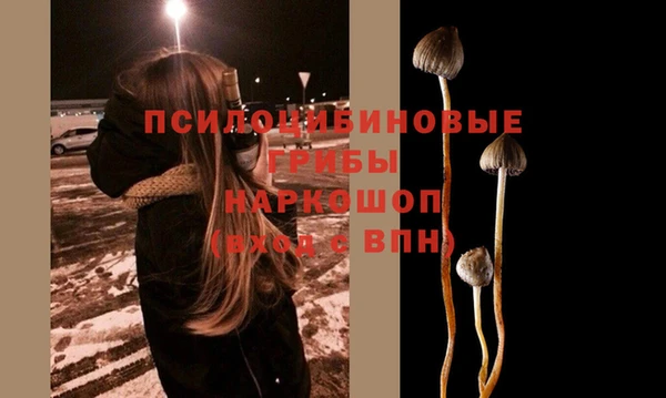 крисы Зерноград