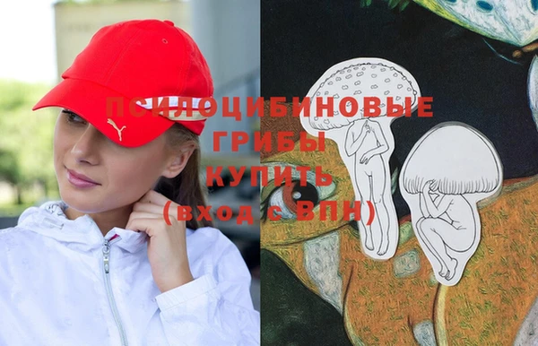 крисы Зерноград