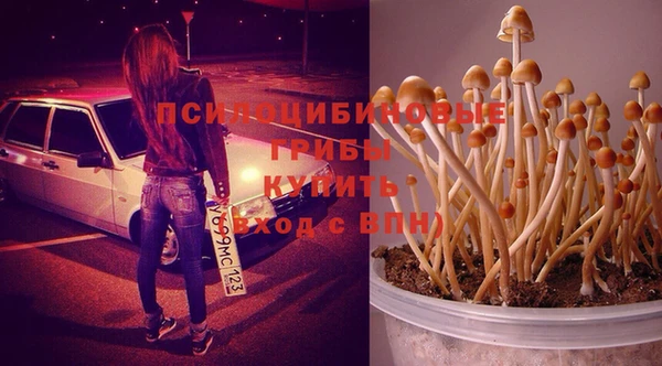 мет Зеленодольск