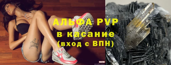 крисы Зерноград