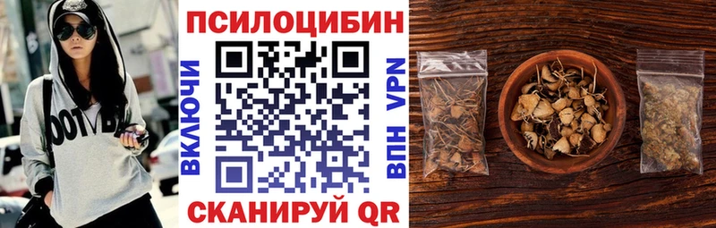 Псилоцибиновые грибы мицелий  где найти   Тихорецк 
