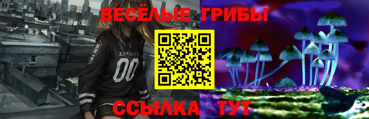 Псилоцибиновые грибы Psilocybe Тихорецк