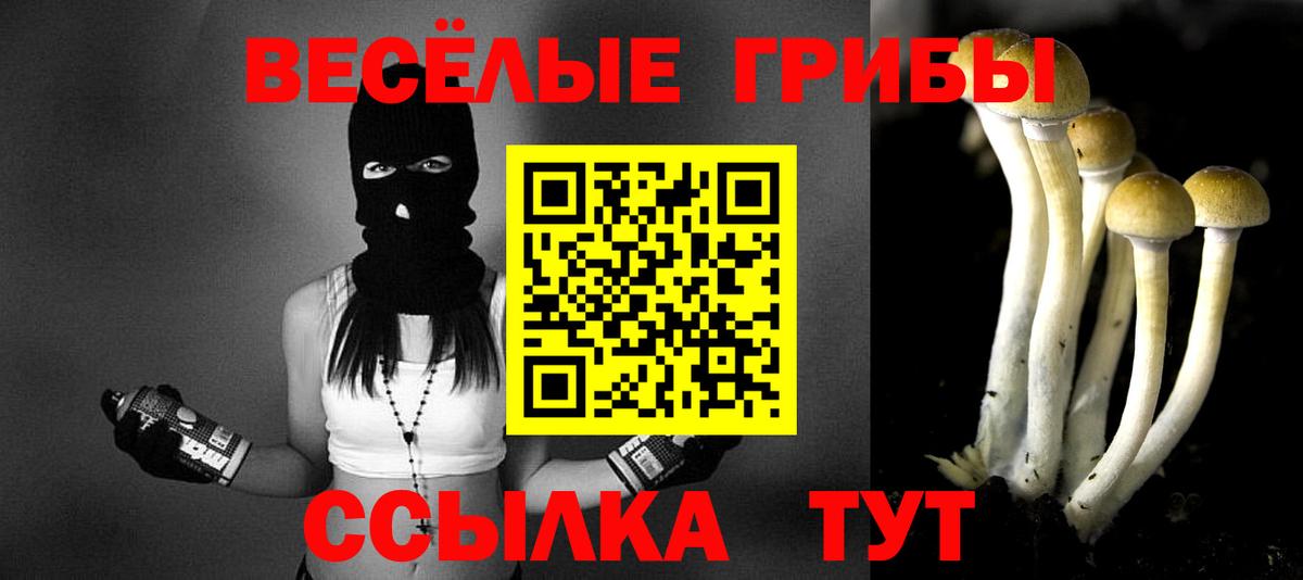 купить наркотики цена  Вход с VPN  Тихорецк  Псилоцибиновые грибы ЛСД 